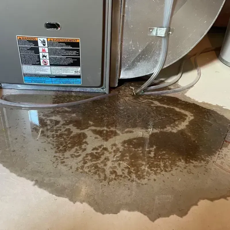 Appliance Leak Cleanup in Laurel, MS